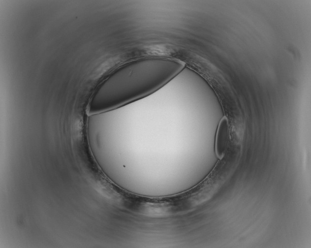 X0000111210556200907011053