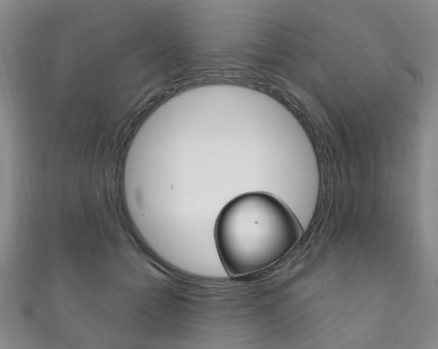 X0000111210558200907011053