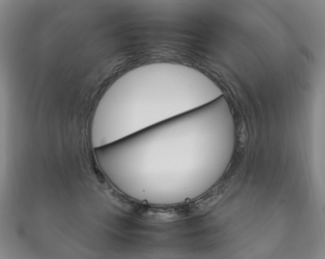 X0000111210559200907011053