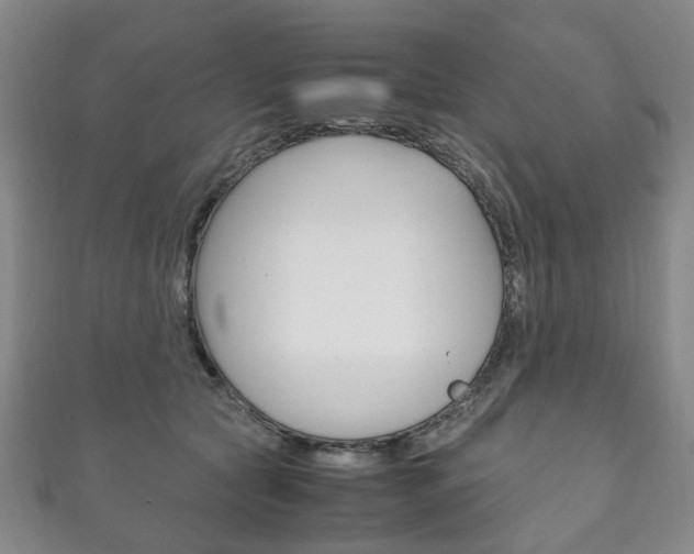 X0000111210561200907011053
