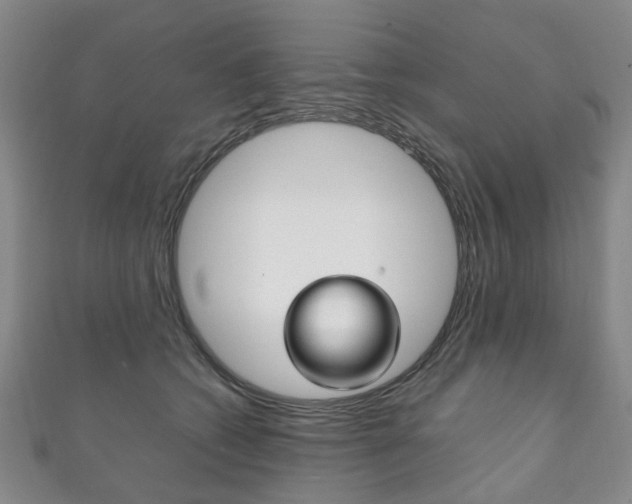 X0000111210562200907011053