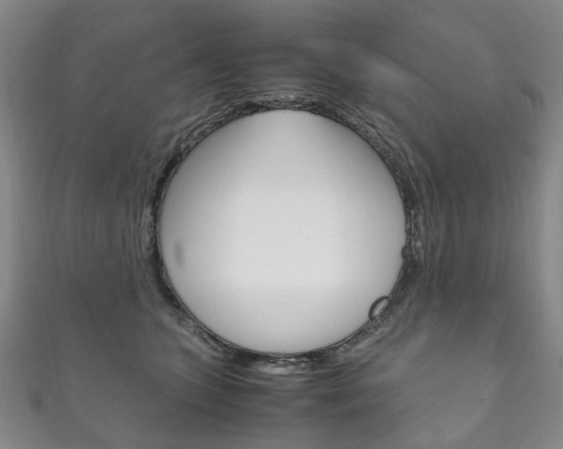 X0000111210563200907011053
