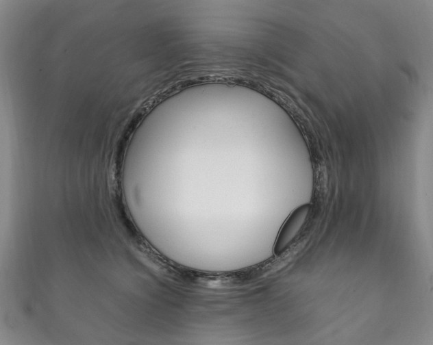 X0000111210564200907011053