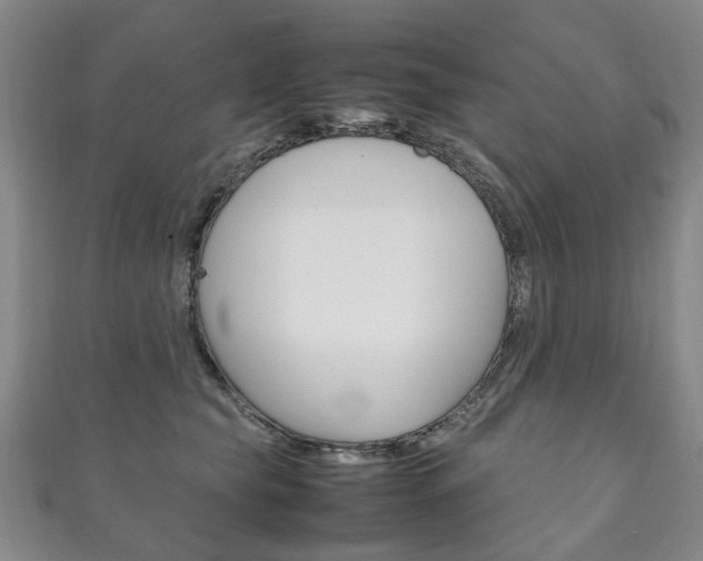 X0000111210565200907011053