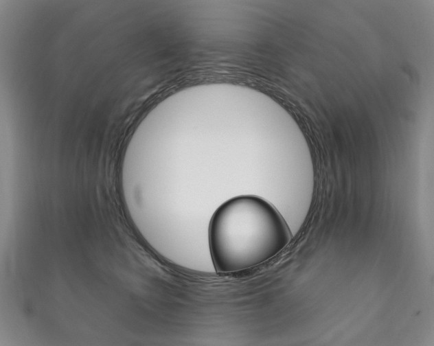 X0000111210566200907011053