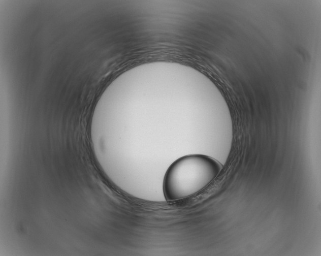X0000111210568200907011054