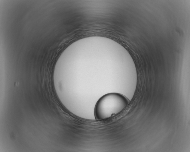 X0000111210570200907011054