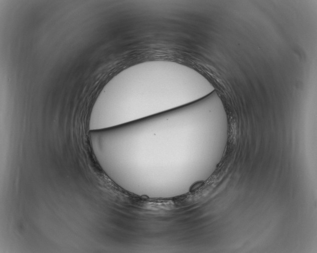 X0000111210571200907011054