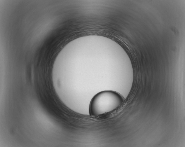 X0000111210572200907011054
