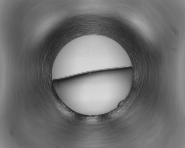 X0000111210574200907011054