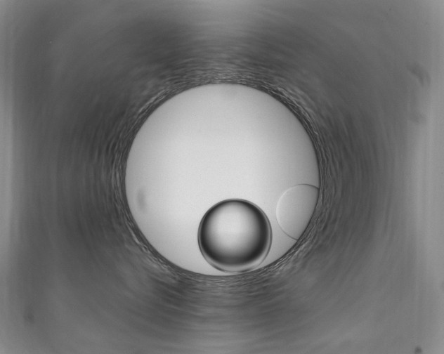 X0000111210576200907011054