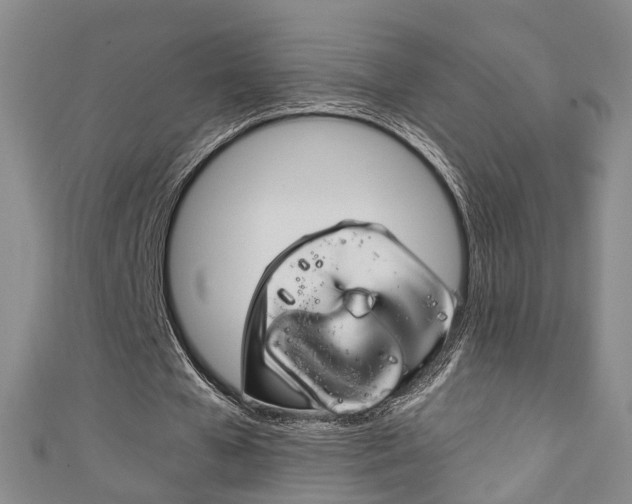 X0000111210577200907011053