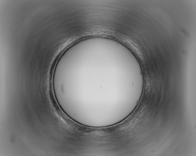 X0000111210578200907011053