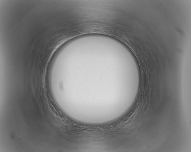 X0000111210579200907011053