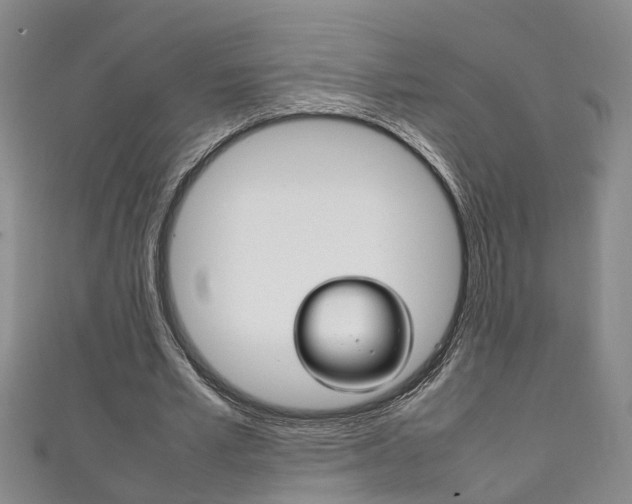 X0000111210581200907011053