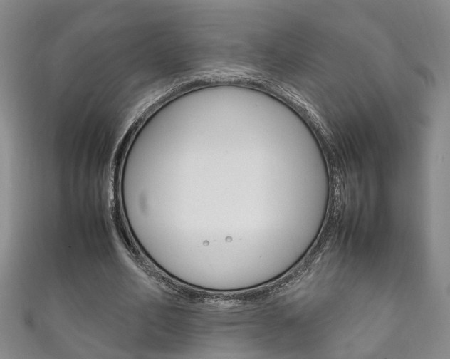X0000111210582200907011053