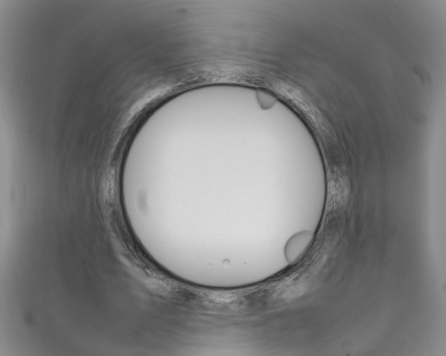 X0000111210583200907011053