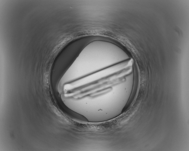X0000111210585200907011053