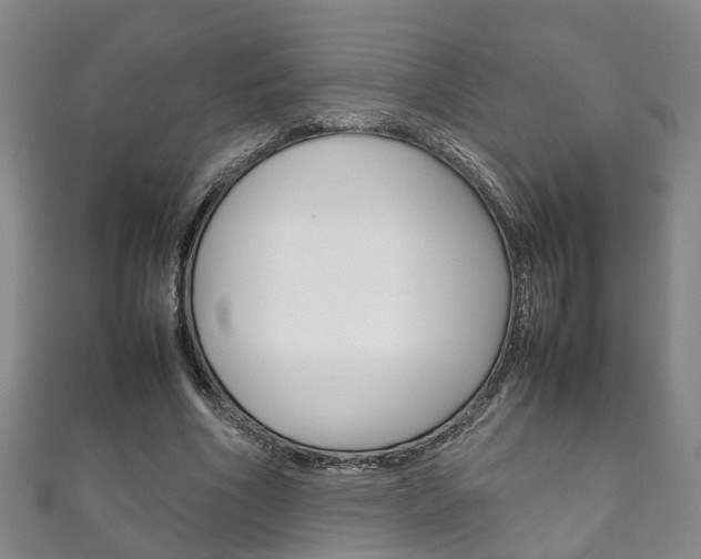 X0000111210586200907011053