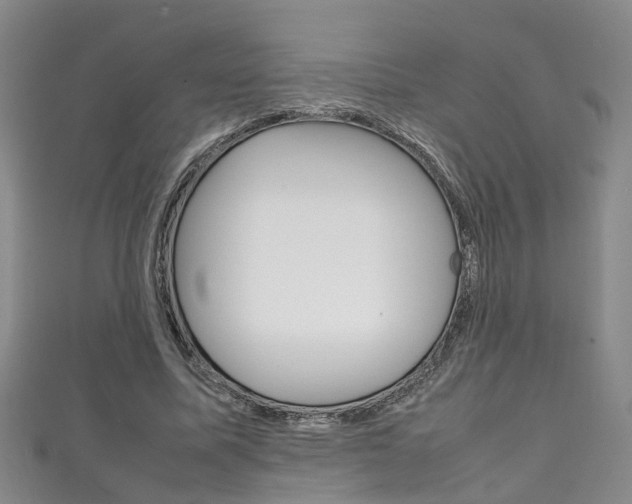 X0000111210587200907011053