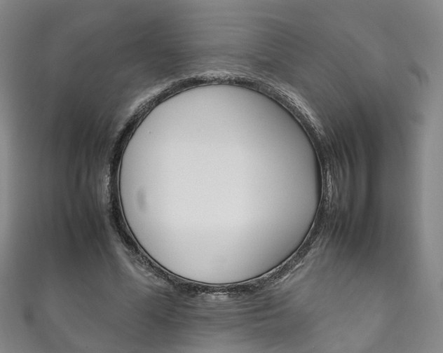 X0000111210588200907011053