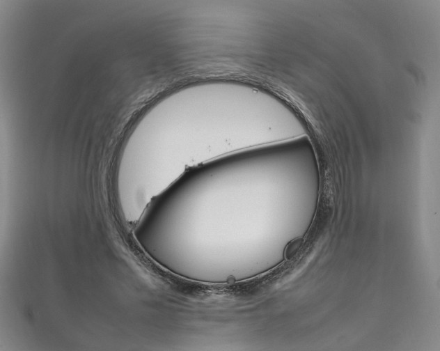 X0000111210589200907011053