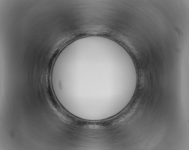X0000111210590200907011053