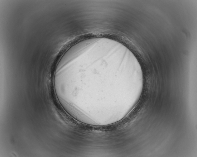X0000111210592200907011053