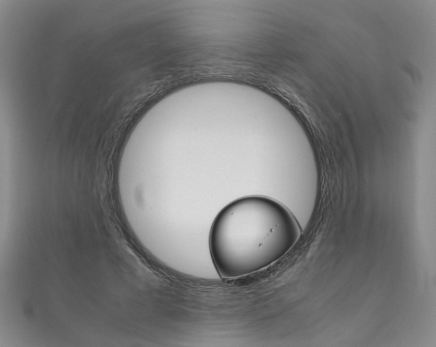 X0000111210593200907011053
