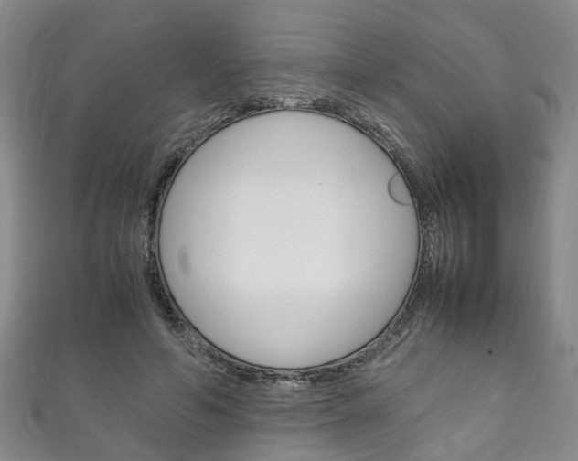 X0000111210594200907011053
