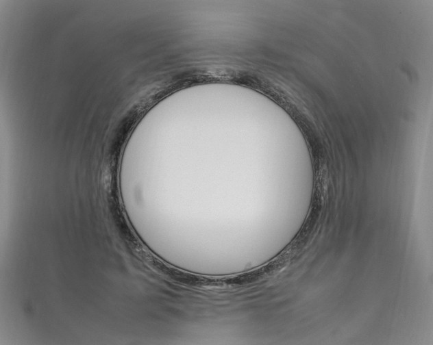 X0000111210595200907011053