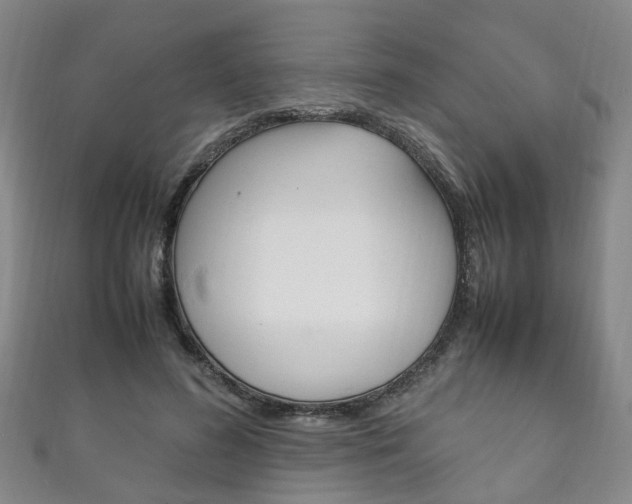 X0000111210596200907011053