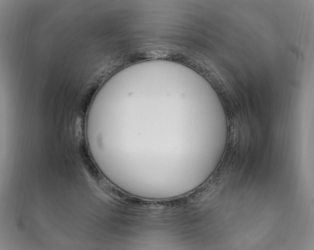 X0000111210598200907011053