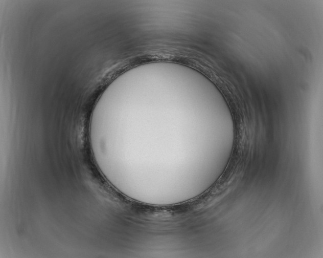 X0000111210600200907011053