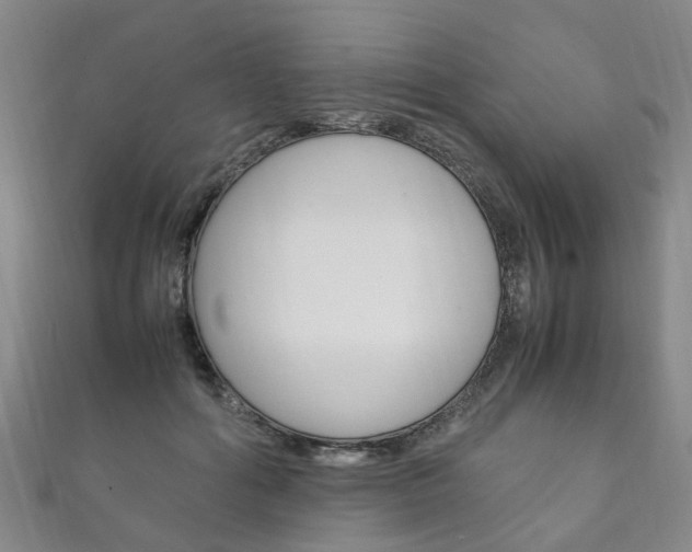 X0000111210602200907011053