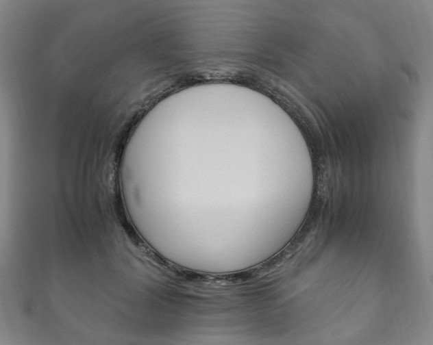 X0000111210604200907011052