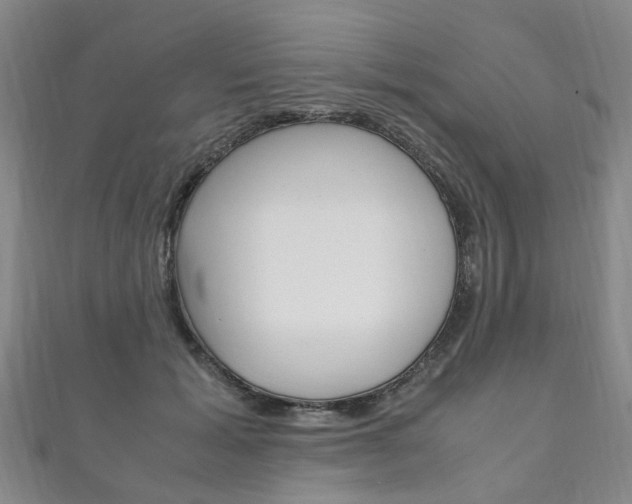 X0000111210605200907011052