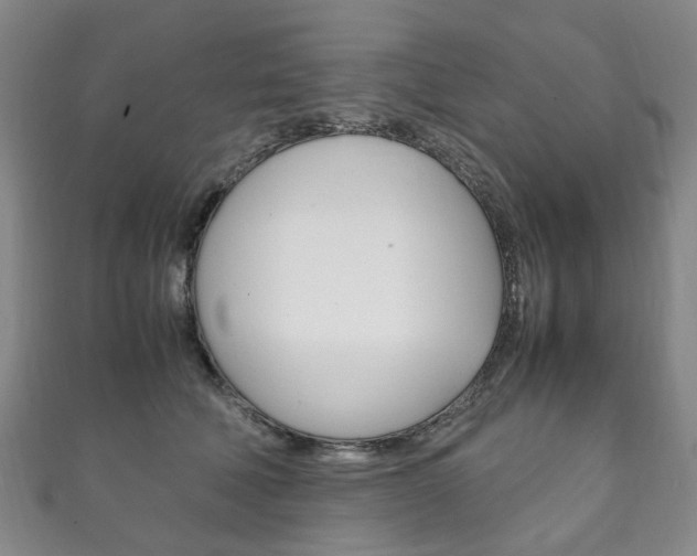 X0000111210610200907011052