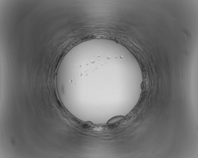 X0000111210611200907011052