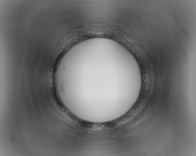 X0000111210612200907011052