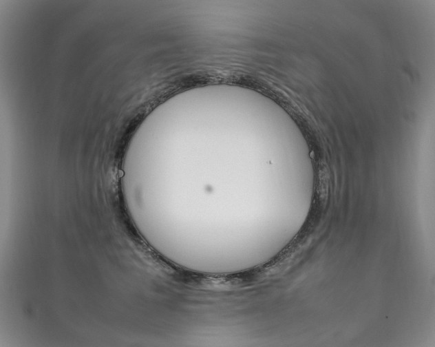 X0000111210613200907011052