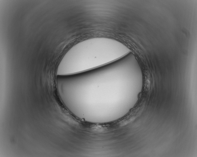 X0000111210616200907011052