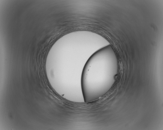 X0000111210617200907011052