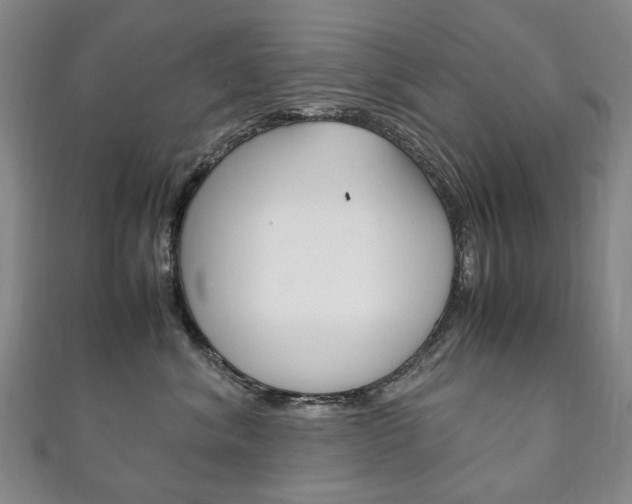 X0000111210620200907011052