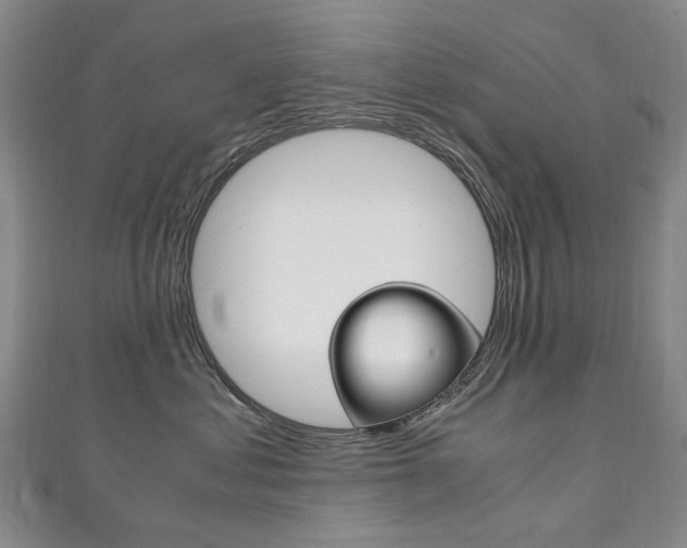 X0000111210621200907011052