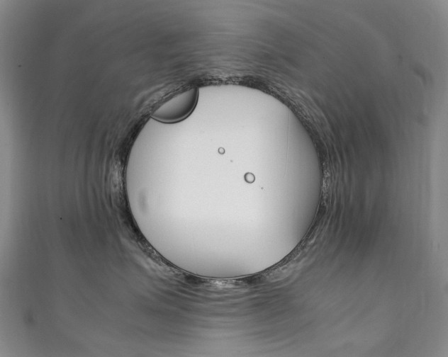 X0000111210623200907011052