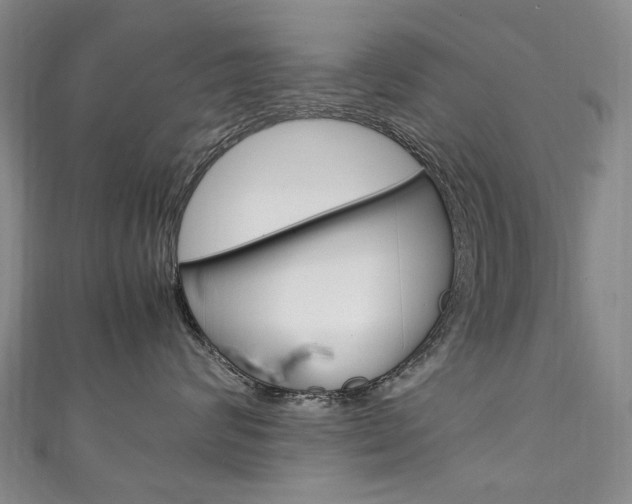 X0000111210624200907011052
