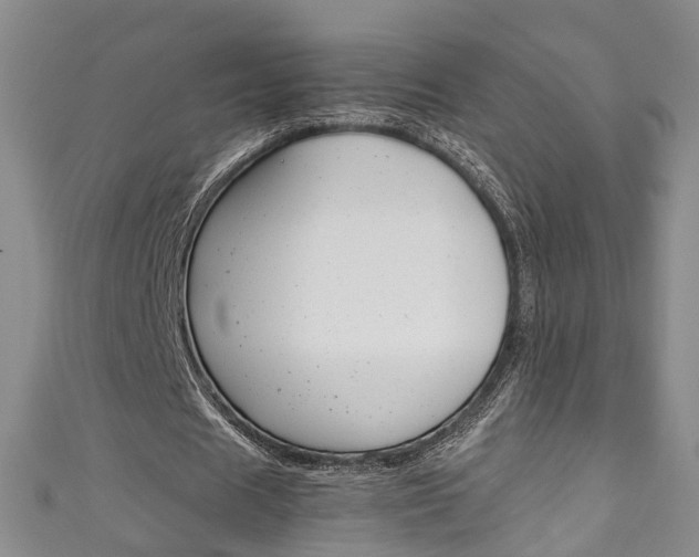 X0000111210625200907011051