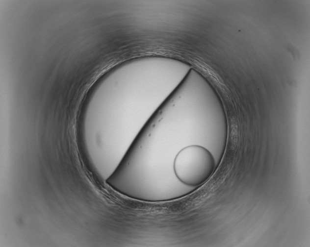 X0000111210626200907011051