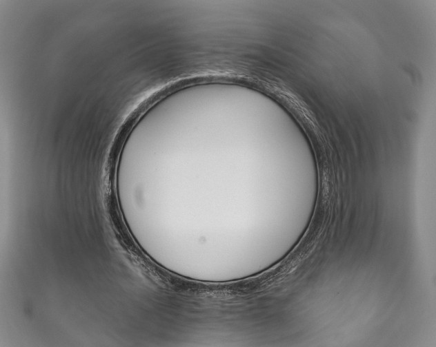 X0000111210628200907011051